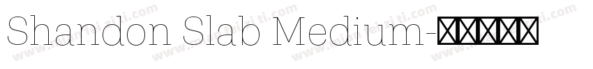 Shandon Slab Medium字体转换